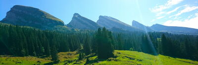 "Free Your Mind & Feel the Flow" Yoga & Wandern Retreat