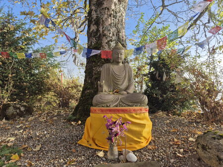 Vipassana-Meditationstag im Karunahaus