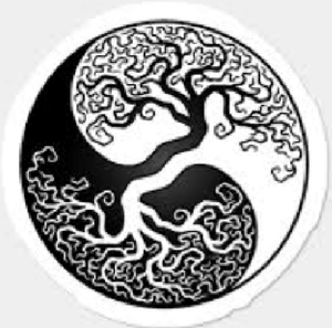 Yin & Yang Yoga - Spielerisch Richtung Balance