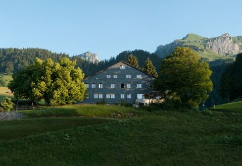 Panorama 5
