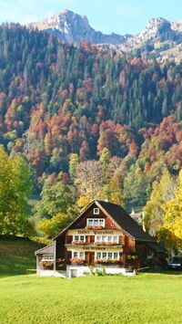 "Free Your Mind & Feel the Flow" Yoga & Wandern Retreat