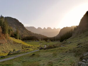 Yoga Intensiv - Das Vereinen von Weisheit und Mitgefühl
