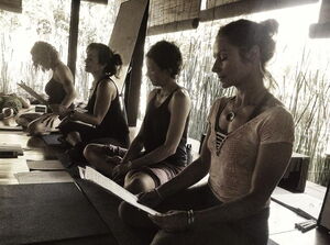 ASHTANGA TRIFFT YIN YOGA