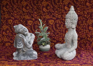 Vipassana Meditation,  weise Kommunikation mit Mitgefühl;  Einsichtsdialog und Bodhicitta