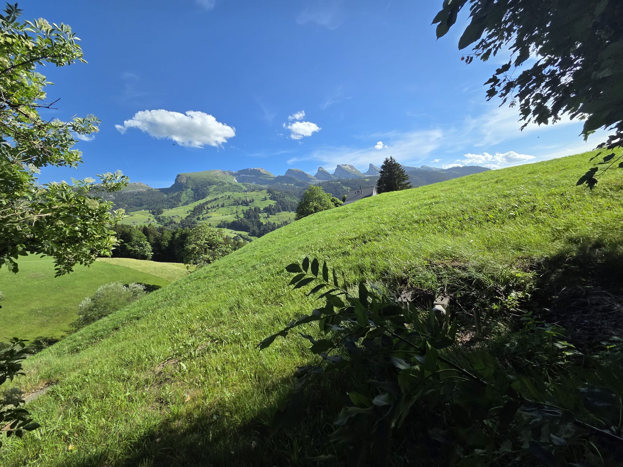 Blick in die Toggenburger Berglandschaft